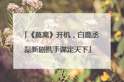 《莫离》开机，白鹿丞磊新剧携手谋定天下
