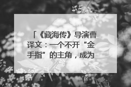 《藏海传》导演曹译文：一个不开“金手指”的主角，成为苍生守护者