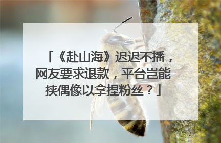 《赴山海》迟迟不播，网友要求退款，平台岂能挟偶像以拿捏粉丝？