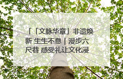 「文脉华章」非遗焕新 生生不息｜漫步六尺巷 感受礼让文化浸润的“巷”往生活