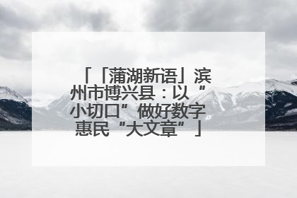 「蒲湖新语」滨州市博兴县：以“小切口”做好数字惠民“大文章”