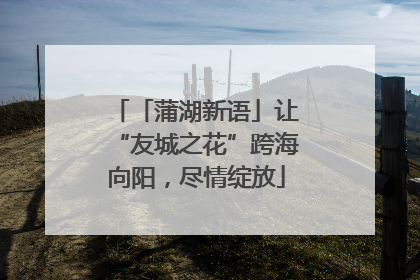 「蒲湖新语」让“友城之花”跨海向阳，尽情绽放