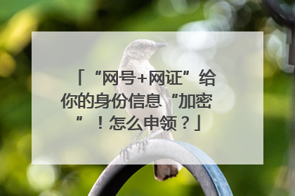 “网号+网证”给你的身份信息“加密”！怎么申领？