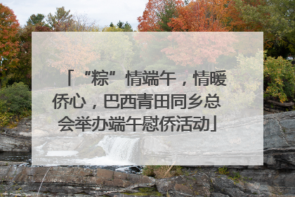 “粽”情端午，情暖侨心，巴西青田同乡总会举办端午慰侨活动