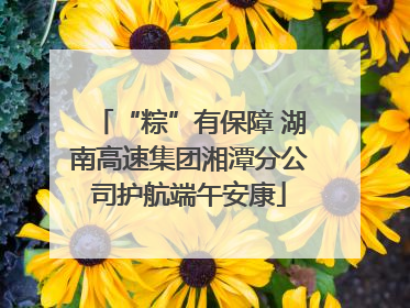 “粽”有保障 湖南高速集团湘潭分公司护航端午安康