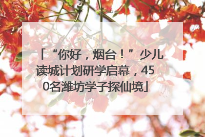 “你好，烟台！”少儿读城计划研学启幕，450名潍坊学子探仙境