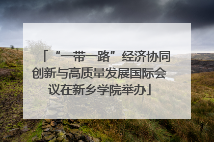 “一带一路”经济协同创新与高质量发展国际会议在新乡学院举办