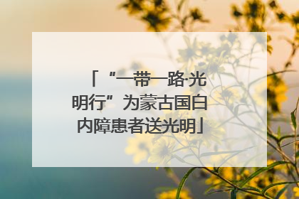 “一带一路·光明行”为蒙古国白内障患者送光明