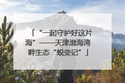 “一起守护好这片海”——天津渤海湾畔生态“蜕变记”