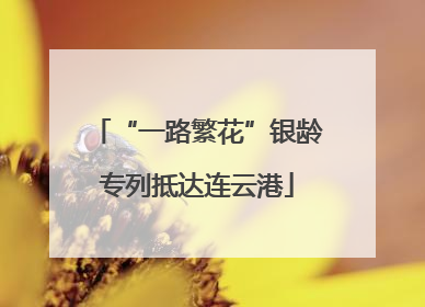 “一路繁花”银龄专列抵达连云港