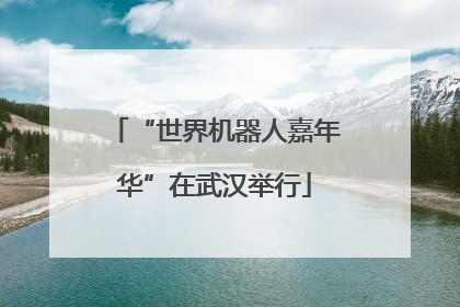 “世界机器人嘉年华”在武汉举行