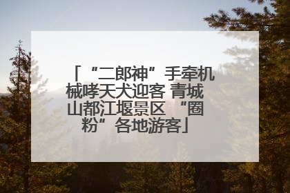 “二郎神”手牵机械哮天犬迎客 青城山都江堰景区 “圈粉”各地游客