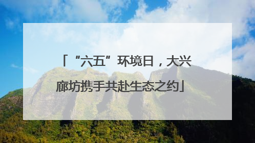 “六五”环境日，大兴廊坊携手共赴生态之约