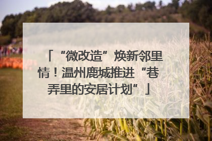 “微改造”焕新邻里情！温州鹿城推进“巷弄里的安居计划”