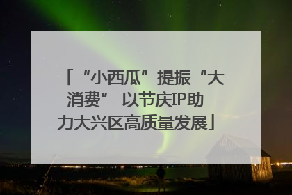 “小西瓜”提振“大消费” 以节庆IP助力大兴区高质量发展