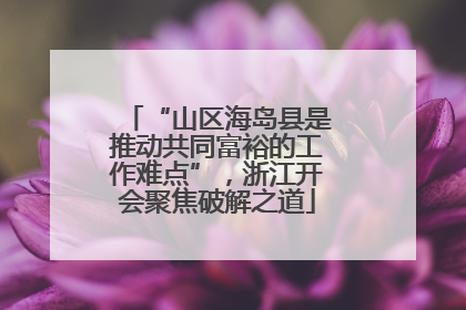 “山区海岛县是推动共同富裕的工作难点”，浙江开会聚焦破解之道