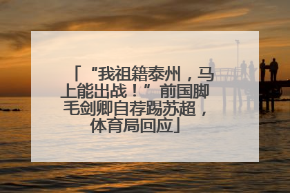 “我祖籍泰州，马上能出战！”前国脚毛剑卿自荐踢苏超，体育局回应