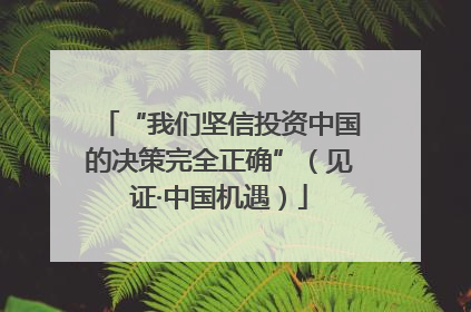 “我们坚信投资中国的决策完全正确”（见证·中国机遇）