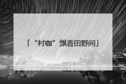 “村咖”飘香田野间