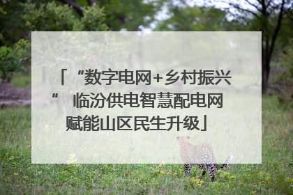 “数字电网+乡村振兴” 临汾供电智慧配电网赋能山区民生升级