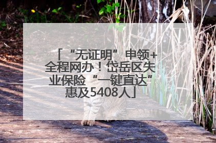 “无证明”申领+全程网办！岱岳区失业保险“一键直达”惠及5408人