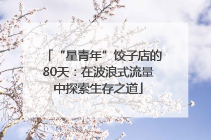 “星青年”饺子店的80天：在波浪式流量中探索生存之道