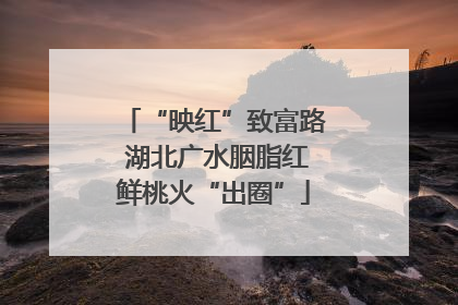 “映红”致富路 湖北广水胭脂红鲜桃火“出圈”