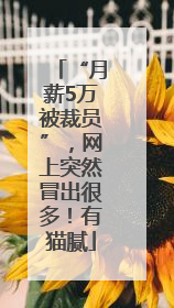 “月薪5万被裁员”，网上突然冒出很多！有猫腻