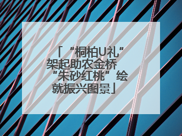 “桐柏U礼”架起助农金桥 “朱砂红桃”绘就振兴图景