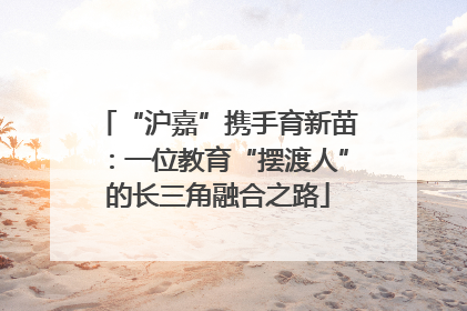 “沪嘉”携手育新苗：一位教育“摆渡人”的长三角融合之路