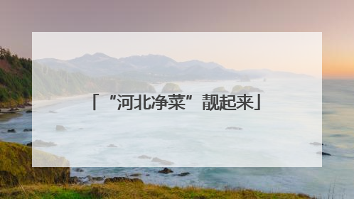 “河北净菜”靓起来