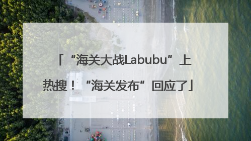 “海关大战Labubu”上热搜！“海关发布”回应了