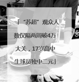 “苏超”观众人数仅隔两周破4万大关，17岁高中生球员独中二元