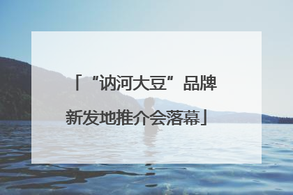 “讷河大豆”品牌新发地推介会落幕