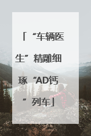 “车辆医生”精雕细琢“AD钙”列车