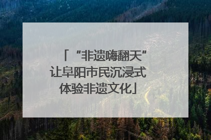 “非遗嗨翻天”让阜阳市民沉浸式体验非遗文化