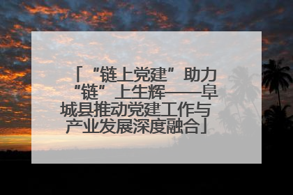 “链上党建”助力“链”上生辉——阜城县推动党建工作与产业发展深度融合