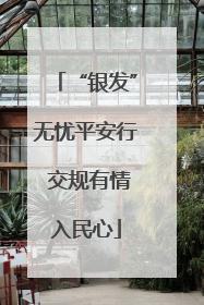 “银发”无忧平安行 交规有情入民心