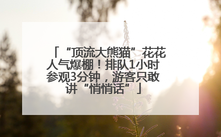 “顶流大熊猫”花花人气爆棚！排队1小时参观3分钟，游客只敢讲“悄悄话”