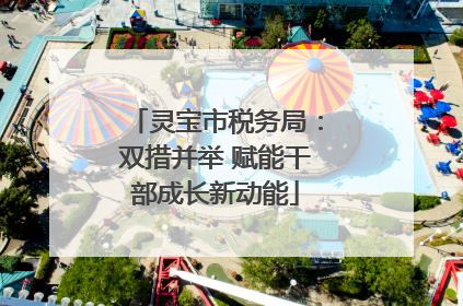 灵宝市税务局：双措并举 赋能干部成长新动能