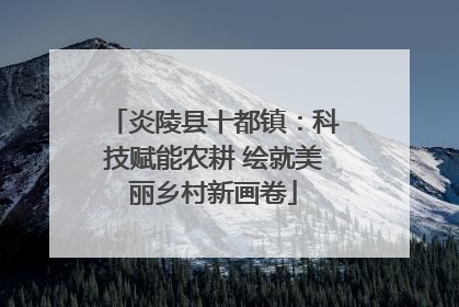炎陵县十都镇：科技赋能农耕 绘就美丽乡村新画卷