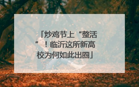 炒鸡节上“整活”！临沂这所新高校为何如此出圈