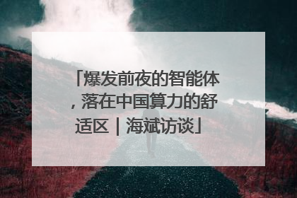 爆发前夜的智能体，落在中国算力的舒适区｜海斌访谈