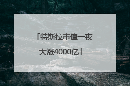 特斯拉市值一夜大涨4000亿