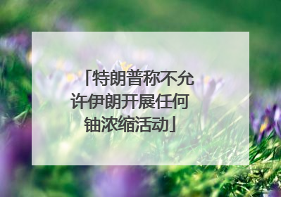 特朗普称不允许伊朗开展任何铀浓缩活动