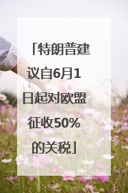 特朗普建议自6月1日起对欧盟征收50%的关税