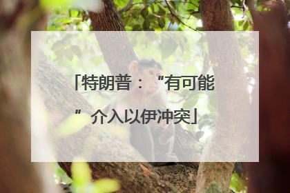 特朗普：“有可能”介入以伊冲突