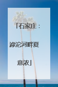 石家庄：滹沱河畔夏意浓