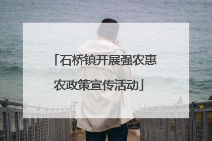 石桥镇开展强农惠农政策宣传活动
