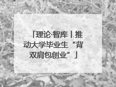 理论·智库丨推动大学毕业生“背双肩包创业”